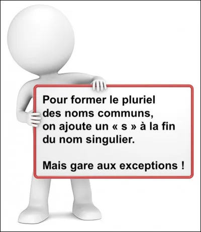 Contrairement à mon homonyme, je prends un S au pluriel. Qui suis-je ?