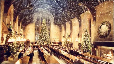 Avec qui Alastor Maugrey a-t-il dansé pour le bal de Noël ?