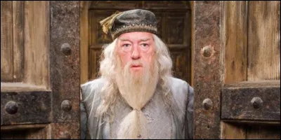 Et Albus Dumbledore ?