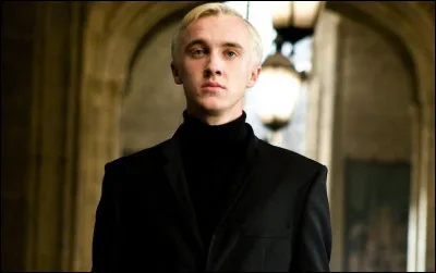 Qui donne un coup de poing à Drago Malefoy ?