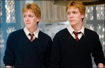 Quels sont les noms des jumeaux Weasley ?