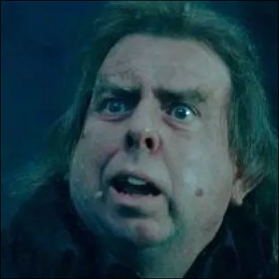 Qui est Peter Pettigrow ?