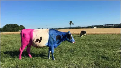 Quel célèbre fromage en portions est fabriqué à Lons-le-Saunier depuis sa création en 1921 ?