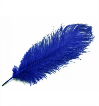 Lequel de ces &eacute;crivains est l'intrus ?