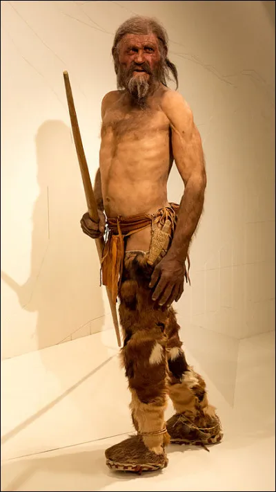 Que portait Ötzi, déjà vers 3300 av. J.-C ?