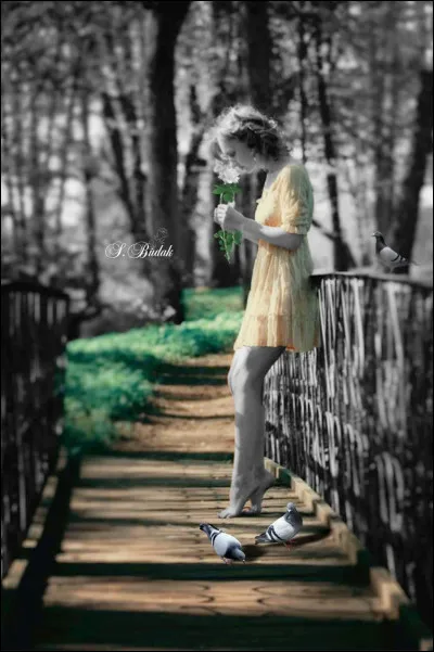 Qu'est-ce que "La Marche de Radetzky" ?