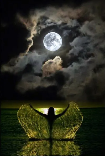 Qui a écrit "On a marché sur la Lune" ?