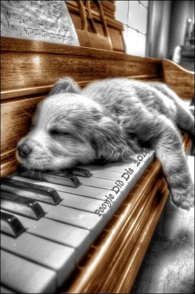 Qui a composé "La Marche turque" ?