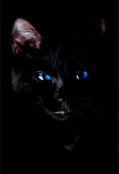 Qui sont les griffes ac&eacute;r&eacute;es ?