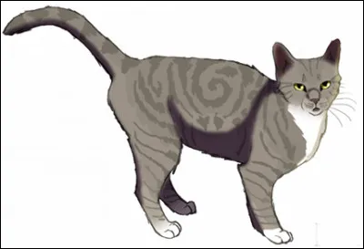 Qui est Faon timide ?