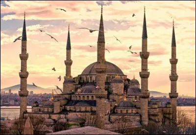 Quel lieu ne se trouve pas &agrave; Istanbul ?