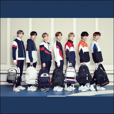 Les membres de BTS sont...