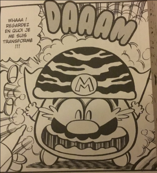 Comment Mario s'est-il transformé en champignon ?