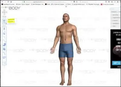 Elle recouvre tout notre corps et nous protège du froid, de la pluie, des maladies, etc..