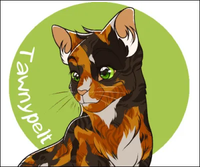 Quel est le prénom de la sur de Griffe de Ronce ?