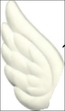 Cette aile appartient  :