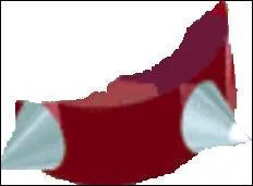  qui est ce collier de piques ?