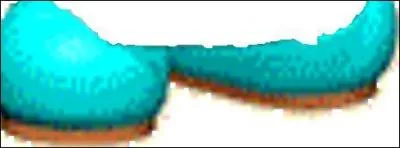  qui sont ces chaussures bleues ?