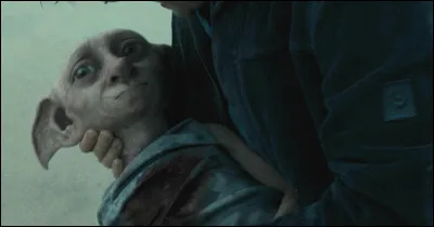 Qui assassine Dobby ?