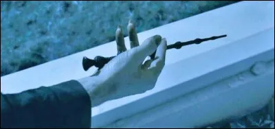 Où Voldemort trouve-t-il la baguette de sureau ?