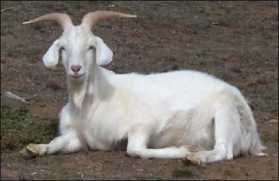 Et lui, qui est-ce ?