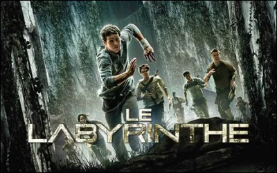 Quel serait ton rôle, au Bloc ?