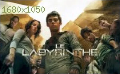 Si tu te réveilles dans la boîte du Bloc et que tous te regardent, que fais-tu ?