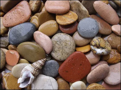 De quel groupe de rock fait partie Ron Wood ?