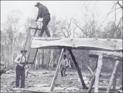 Comment appelait-on les ouvriers qui sciaient les poutres et les planches dans la longueur du tronc ?