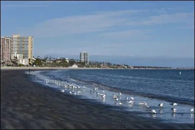 Dans quel État des USA, cher à Julien Clerc, se situe la ville de Long Beach'' ?