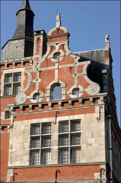 Comment s'appellent les éléments métalliques en forme de S sur la façade?