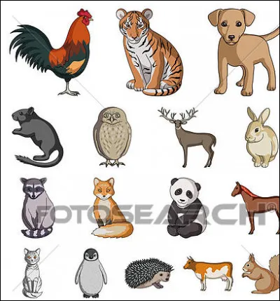 Es-tu complice avec les animaux ?