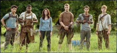 Qui serait ton meilleur ami ?