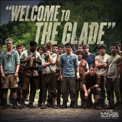 Tu te réveilles au Bloc avec tous ces visages inconnus qui te regardent. Que fais-tu ?