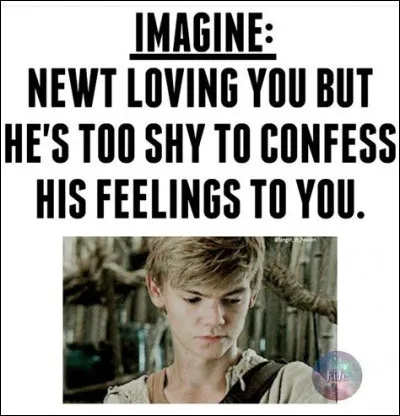Newt t'aime en secret mais il est trop timide pour te le dire. 
Qu'en penses-tu ? (Si t'es un garçon c'est Teresa)