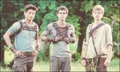 Que fais-tu si Thomas, Newt et Minho te regardent de cette façon ?