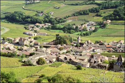 À partir de quelle date le village de « Solutré » change-t-il de nom et devient-il « Solutré-Pouilly » ?