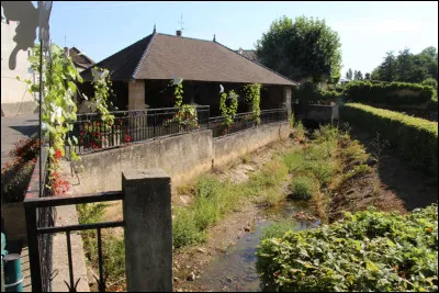 Comment appelle-t-on les habitants de Davayé ?