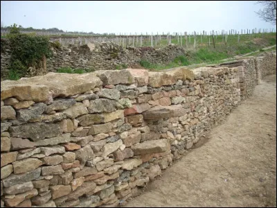 Le parement extérieur d'un mur en pierre sèche est posé de façon légèrement inclinée par rapport à la verticale. Quel est le nom de cette inclinaison ?