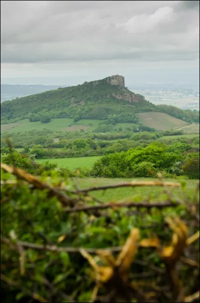 Quand le label a-t-il été attribué pour la première fois au site de Solutré Pouilly Vergisson ?