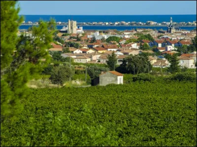 Ville de 20 000 habitants du département de l'Hérault, située sur la côte languedocienne en bordure de l'étang d'Ingril :