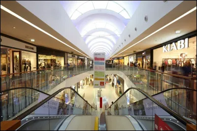 Vous vous promenez dans une galerie marchande, quelle boutique vous attire le plus ?