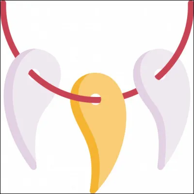 Pour séduire l'élu(e) de votre cur, vous lui offrez :