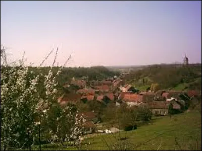 Bucey-l&egrave;s-Gy est un village Haut-Sa&ocirc;nois situ&eacute; dans l'ancienne r&eacute;gion ...