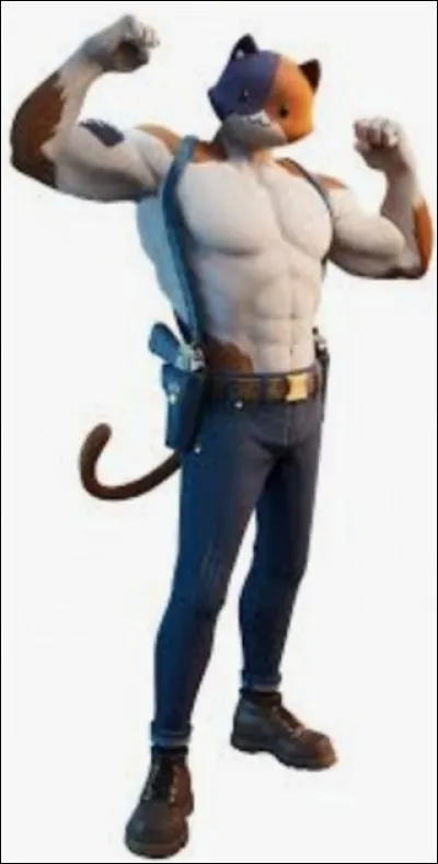 Comment s'appelle ce skin ?