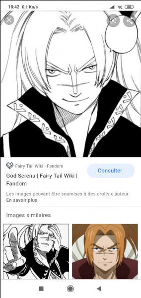 Quiz Fairy tail