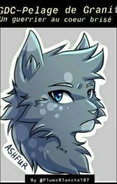 Tu considères Pelage de Granit comme :