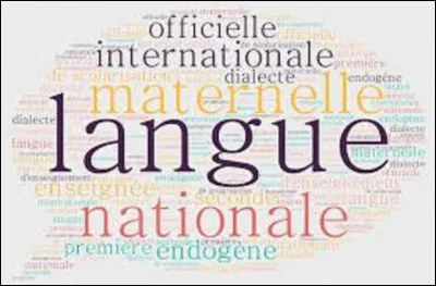 Quelle est la langue officielle ''de jure'' (c'est à dire par la loi) de la Louisiane ?