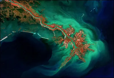 Quel fleuve forme son delta en Louisiane ?