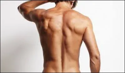 Quel est le nom donn&eacute; pour la d&eacute;viation de la colonne vert&eacute;brale ?